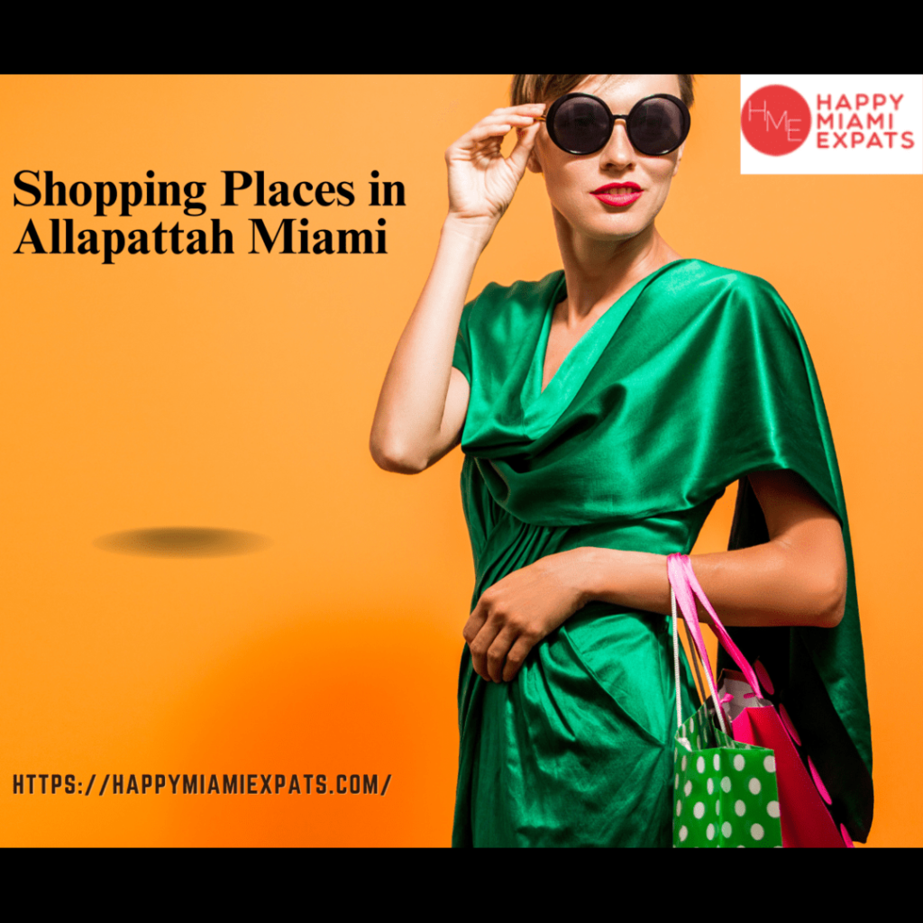 Shopping Places in Allapattah Miami