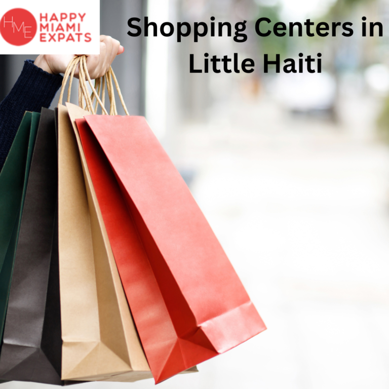Shopping Centers in Little Haiti